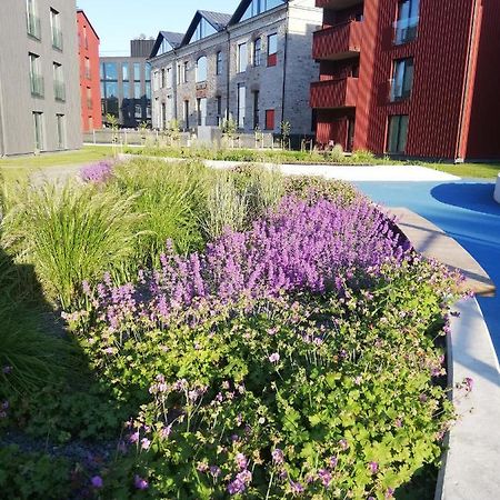 Kalamaja Garden Tallinn Exterior photo